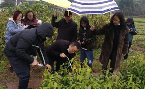 省林草种苗站到射洪市开展林木种苗质量抽检