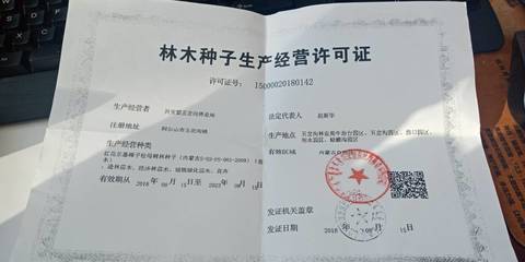 这个法人上税务局代开发票,可以开免税的树苗发票吗?